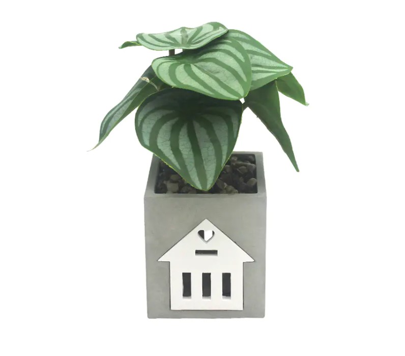 Lampa de ciment LED este compatibilă cu sisteme inteligente de casă, pentru controlul și automatizarea vocală?